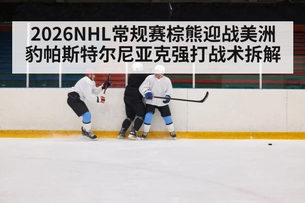 2026NHL常规赛棕熊迎战美洲豹帕斯特尔尼亚克强打战术拆解