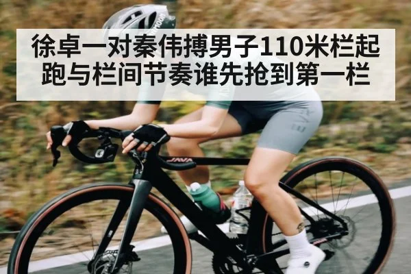徐卓一对秦伟搏男子110米栏起跑与栏间节奏谁先抢到第一栏